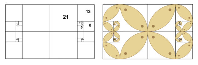 Fibonacci Spiral